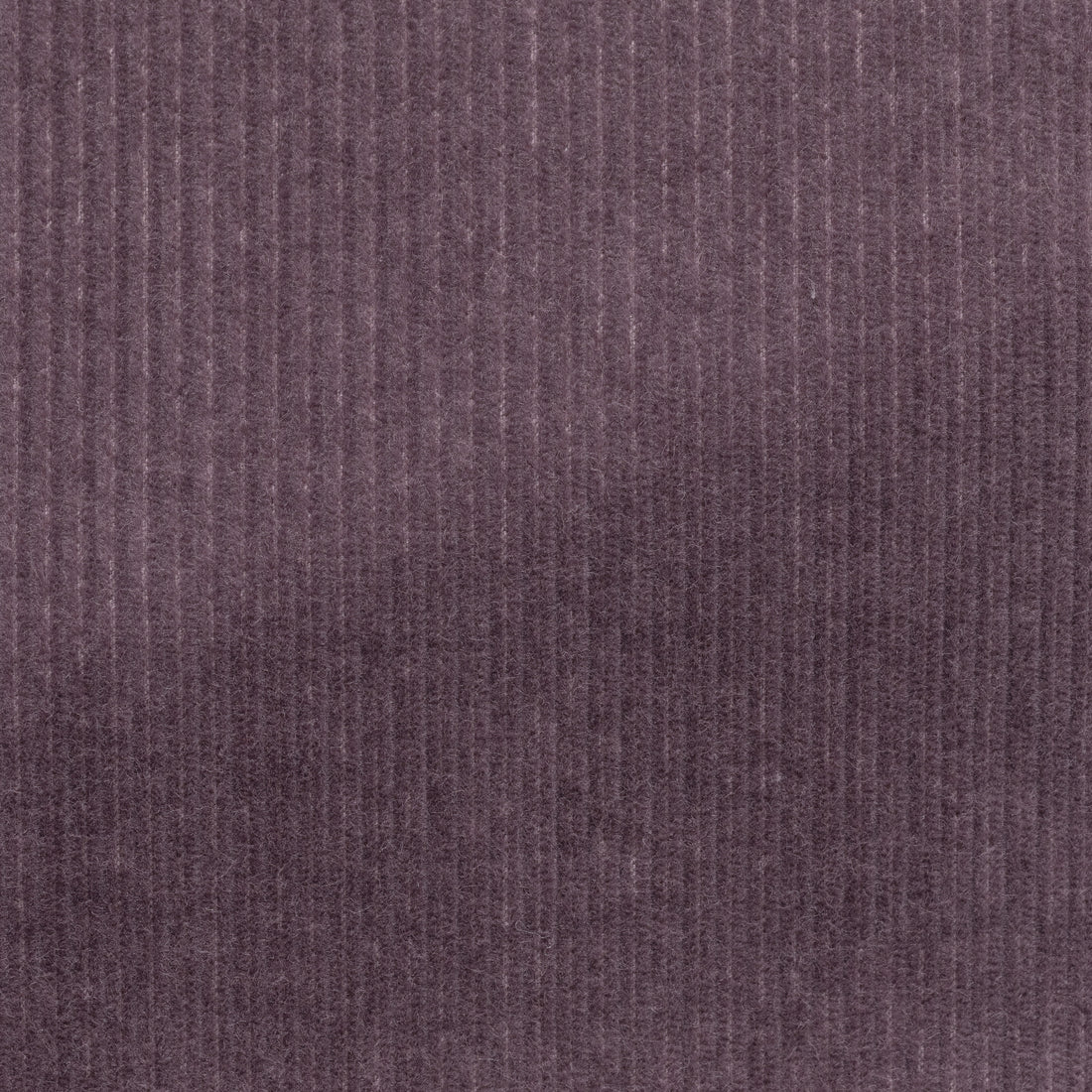 Suit - Mauve Stretch Cotton Corduroy 5944